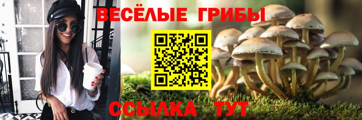 Галлюциногенные грибы Cubensis  Вход с VPN  как найти закладки  Горно-Алтайск 